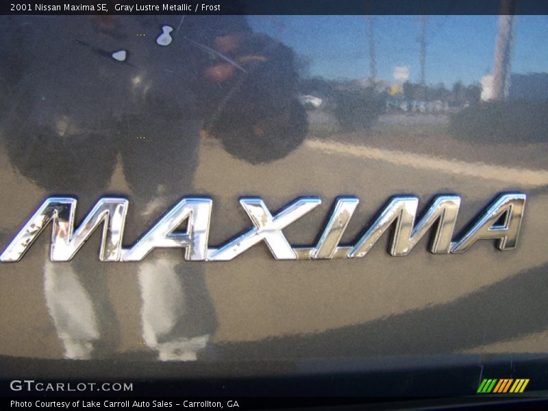 Gray Lustre Metallic / Frost 2001 Nissan Maxima SE