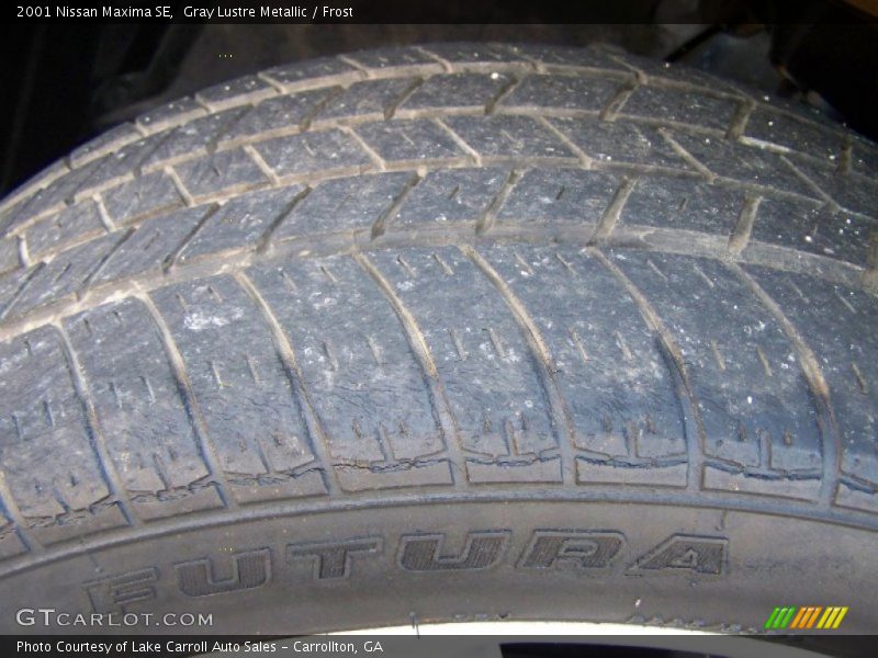 Gray Lustre Metallic / Frost 2001 Nissan Maxima SE