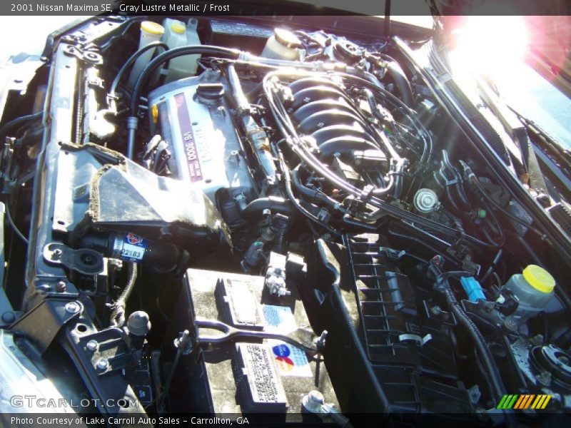 Gray Lustre Metallic / Frost 2001 Nissan Maxima SE