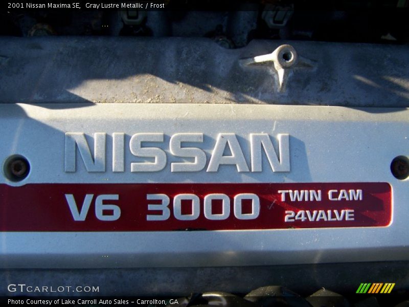 Gray Lustre Metallic / Frost 2001 Nissan Maxima SE