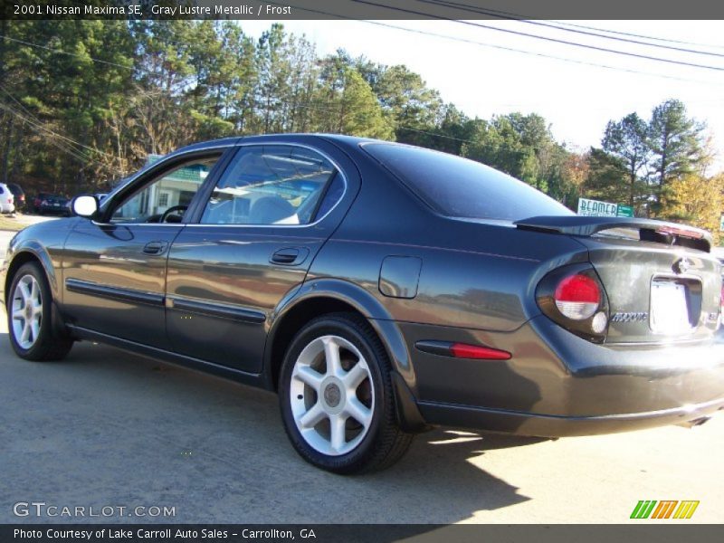 Gray Lustre Metallic / Frost 2001 Nissan Maxima SE