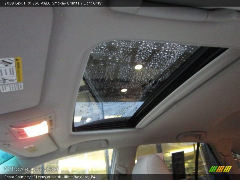 Smokey Granite / Light Gray 2009 Lexus RX 350 AWD