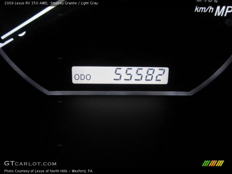Smokey Granite / Light Gray 2009 Lexus RX 350 AWD