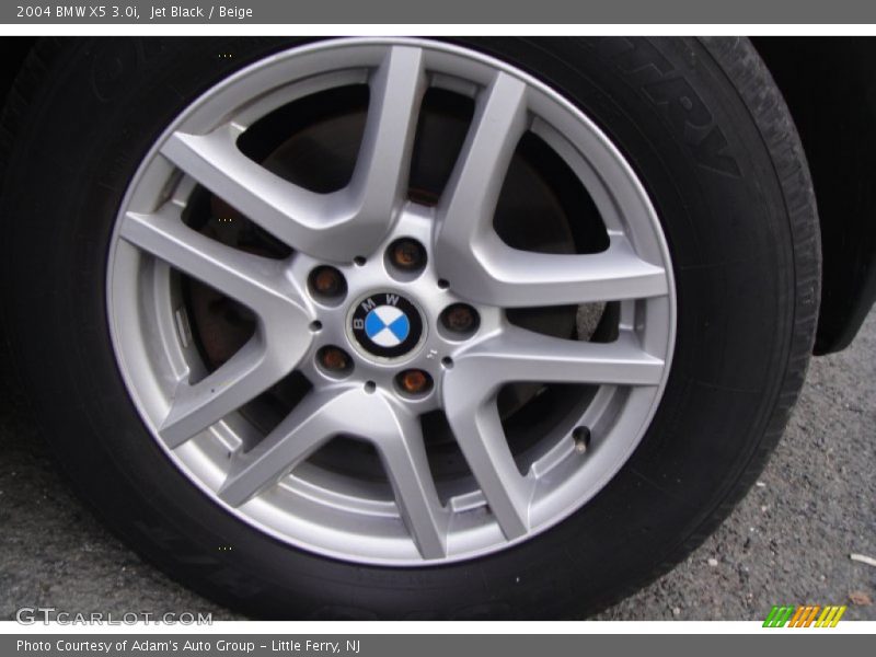 Jet Black / Beige 2004 BMW X5 3.0i