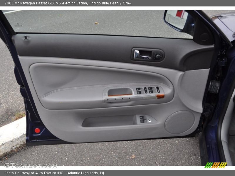 Door Panel of 2001 Passat GLX V6 4Motion Sedan