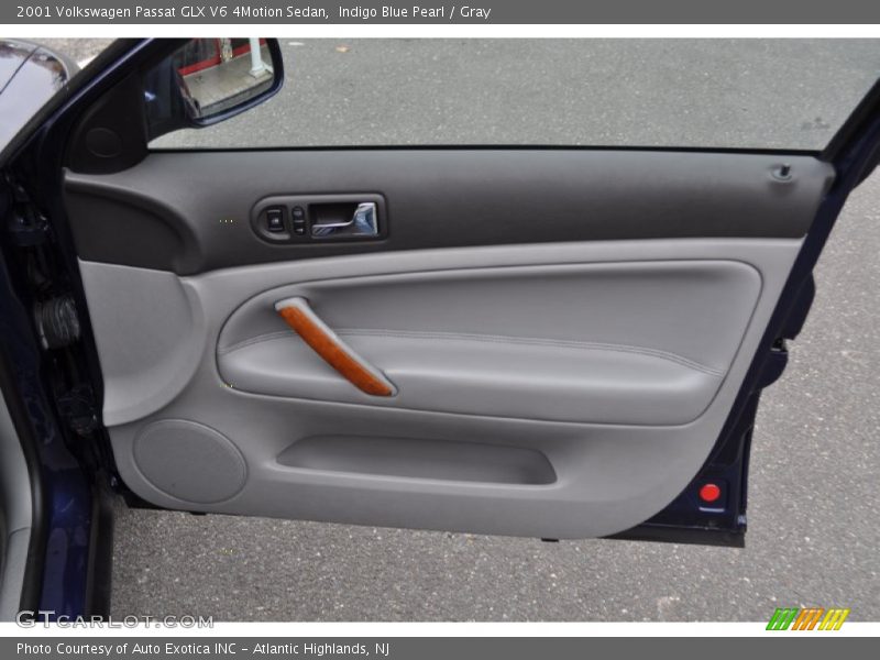 Door Panel of 2001 Passat GLX V6 4Motion Sedan