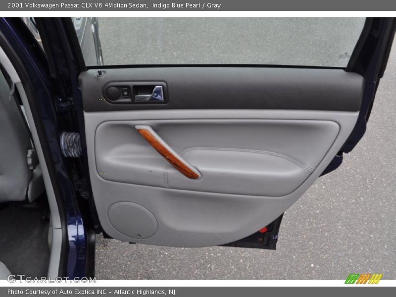 Door Panel of 2001 Passat GLX V6 4Motion Sedan
