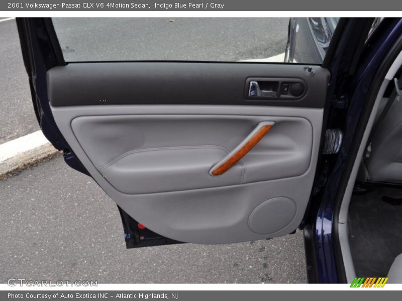 Door Panel of 2001 Passat GLX V6 4Motion Sedan