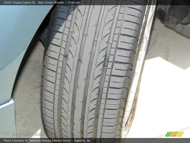 Aloe Green Metallic / Charcoal 2009 Toyota Camry SE