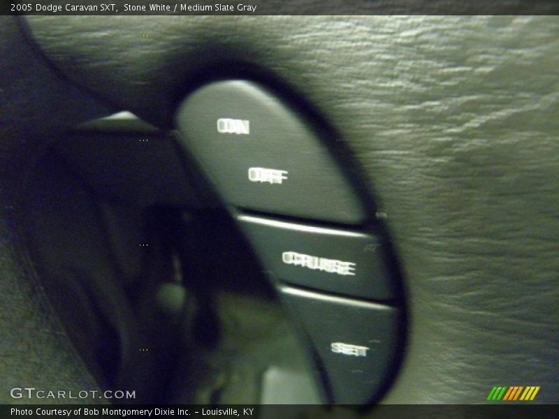 Stone White / Medium Slate Gray 2005 Dodge Caravan SXT