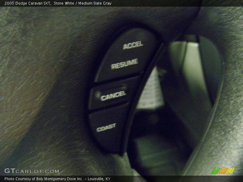 Stone White / Medium Slate Gray 2005 Dodge Caravan SXT