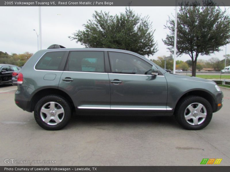 Reed Green Metallic / Pure Beige 2005 Volkswagen Touareg V6