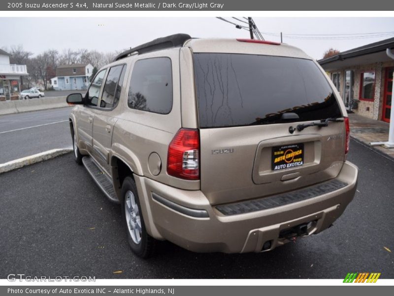 Natural Suede Metallic / Dark Gray/Light Gray 2005 Isuzu Ascender S 4x4