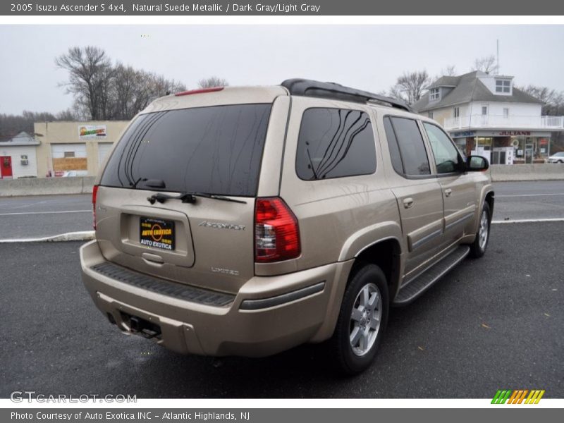 Natural Suede Metallic / Dark Gray/Light Gray 2005 Isuzu Ascender S 4x4