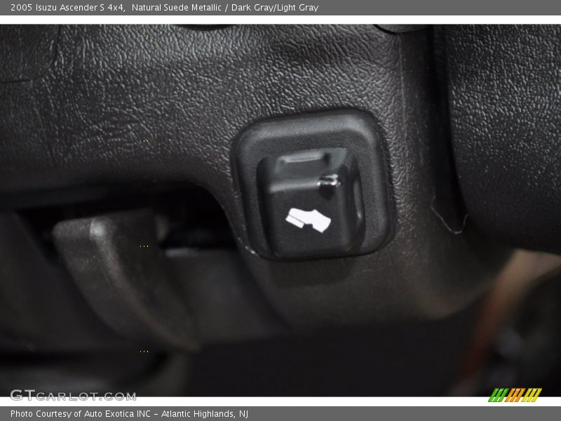 Natural Suede Metallic / Dark Gray/Light Gray 2005 Isuzu Ascender S 4x4