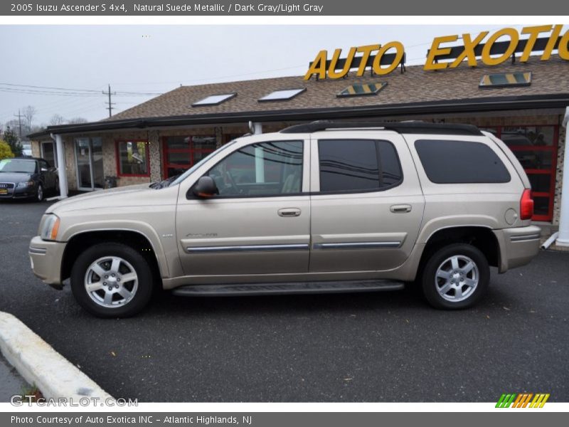Natural Suede Metallic / Dark Gray/Light Gray 2005 Isuzu Ascender S 4x4