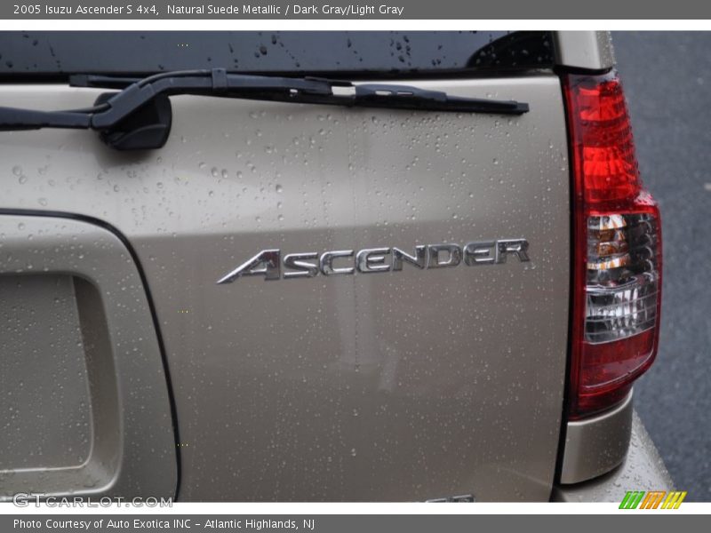 Natural Suede Metallic / Dark Gray/Light Gray 2005 Isuzu Ascender S 4x4