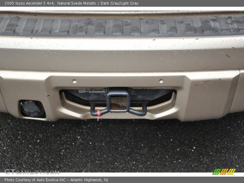 Natural Suede Metallic / Dark Gray/Light Gray 2005 Isuzu Ascender S 4x4