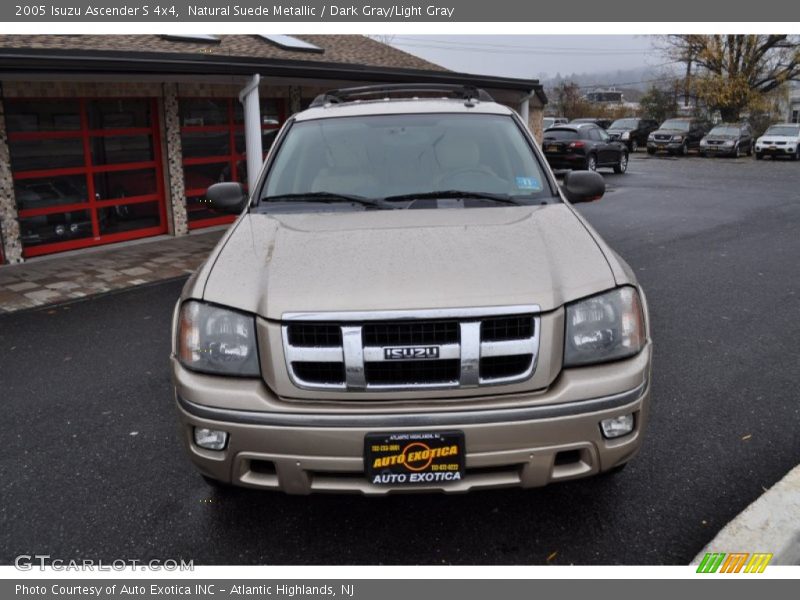 Natural Suede Metallic / Dark Gray/Light Gray 2005 Isuzu Ascender S 4x4