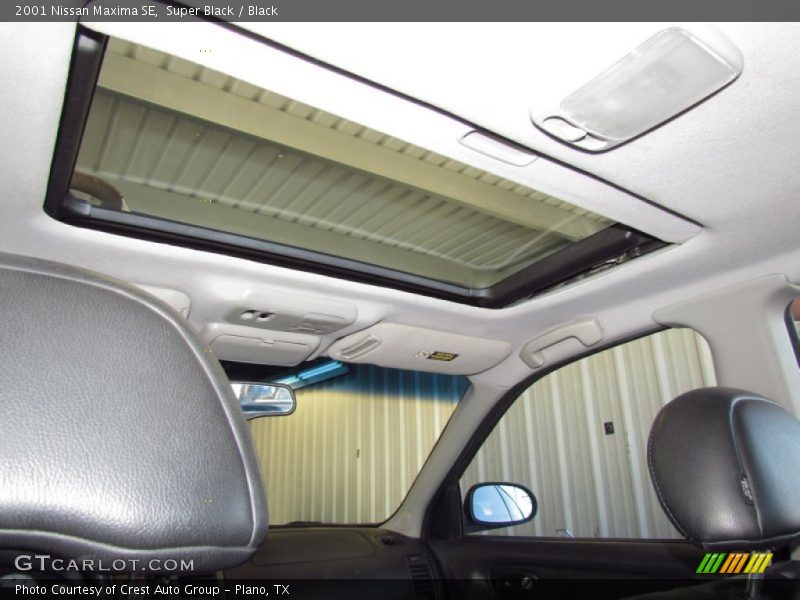 Super Black / Black 2001 Nissan Maxima SE