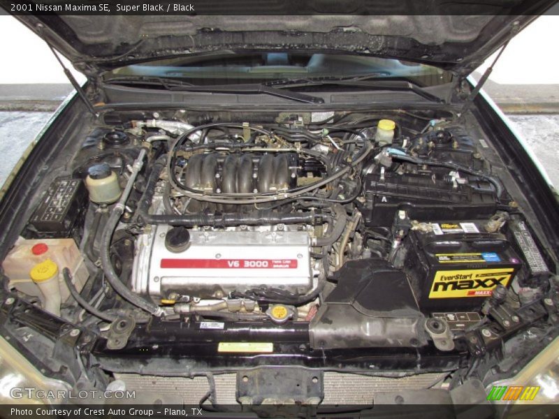 Super Black / Black 2001 Nissan Maxima SE
