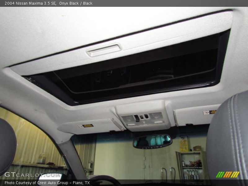 Onyx Black / Black 2004 Nissan Maxima 3.5 SE