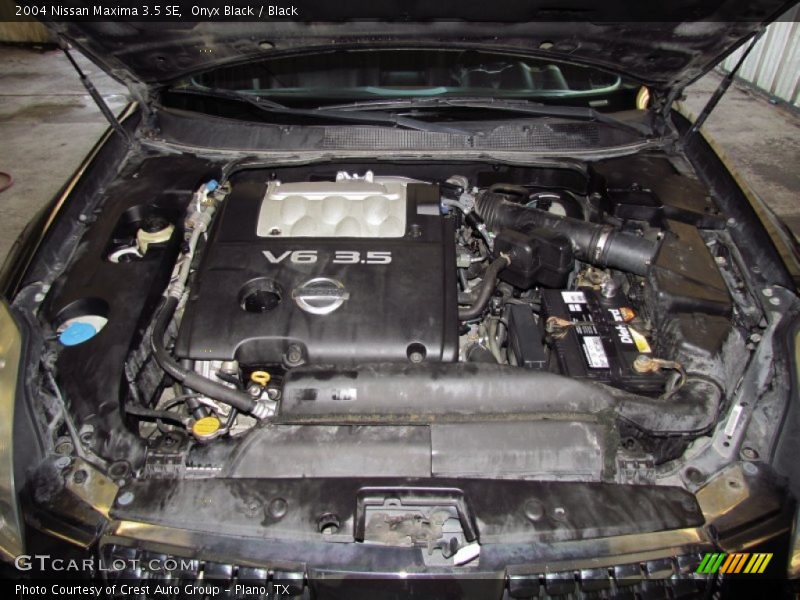 Onyx Black / Black 2004 Nissan Maxima 3.5 SE