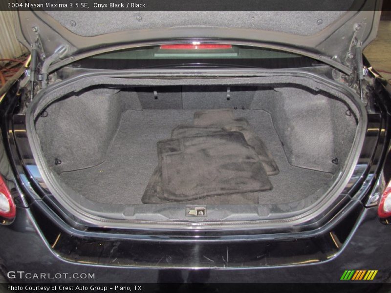 Onyx Black / Black 2004 Nissan Maxima 3.5 SE