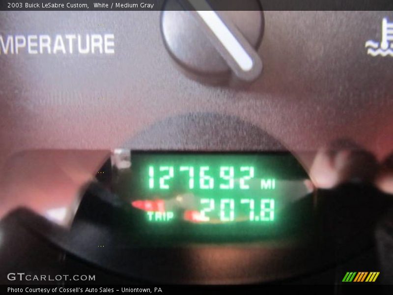White / Medium Gray 2003 Buick LeSabre Custom
