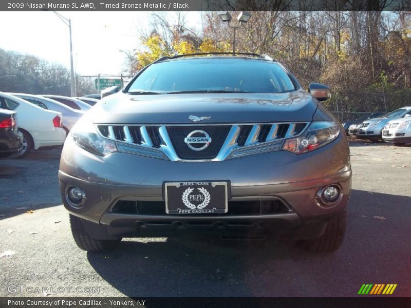 Tinted Bronze Metallic / Black 2009 Nissan Murano SL AWD