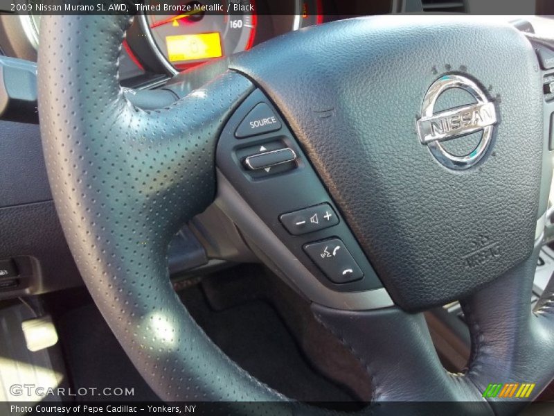 Tinted Bronze Metallic / Black 2009 Nissan Murano SL AWD