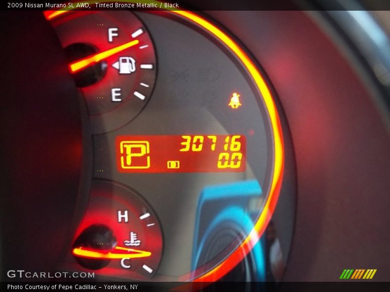 Tinted Bronze Metallic / Black 2009 Nissan Murano SL AWD