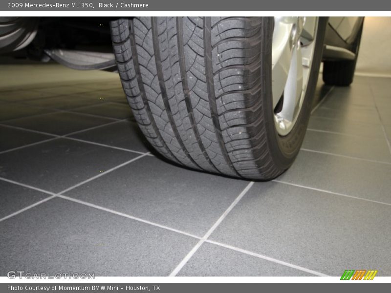 Black / Cashmere 2009 Mercedes-Benz ML 350