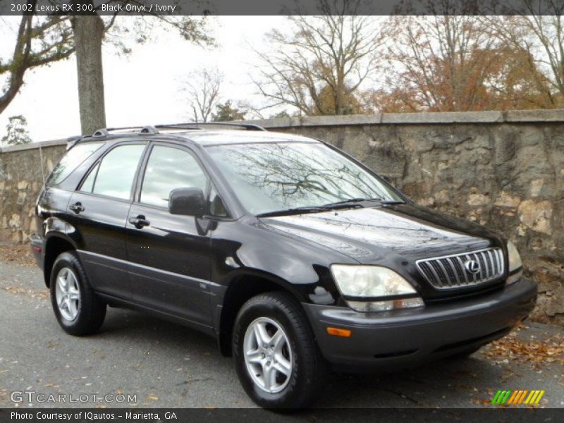 Black Onyx / Ivory 2002 Lexus RX 300