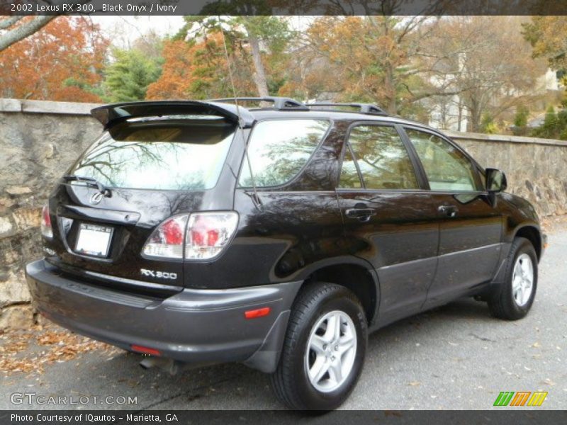 Black Onyx / Ivory 2002 Lexus RX 300