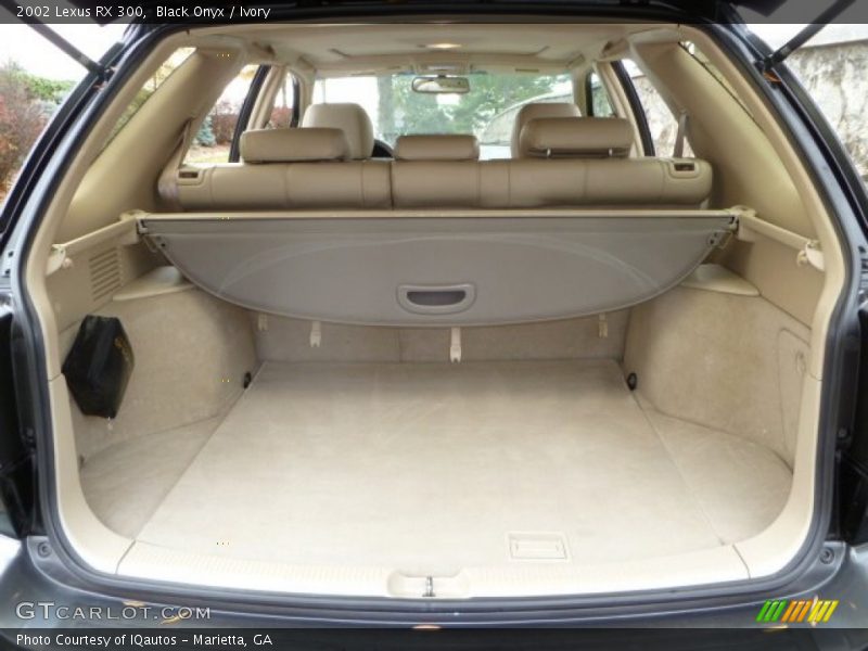 Black Onyx / Ivory 2002 Lexus RX 300