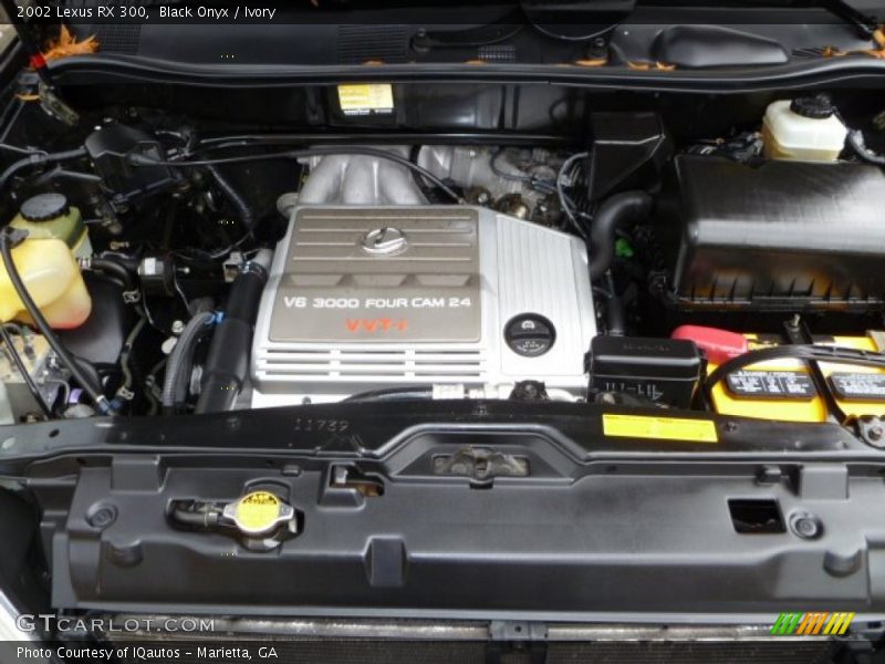 Black Onyx / Ivory 2002 Lexus RX 300