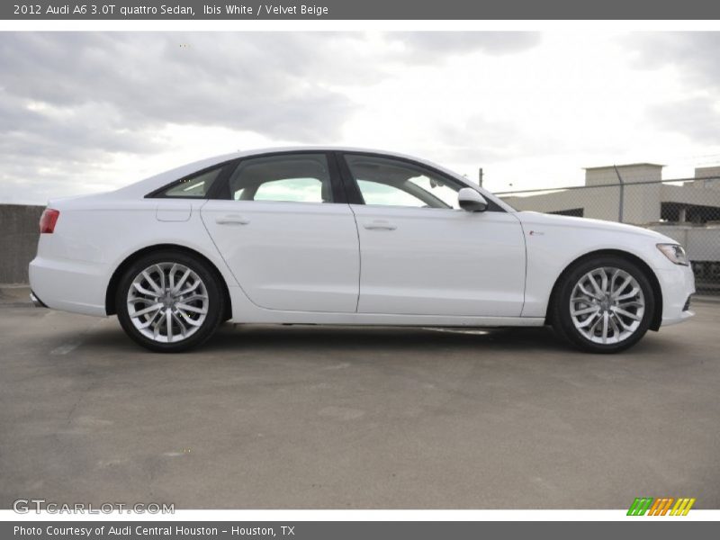  2012 A6 3.0T quattro Sedan Ibis White