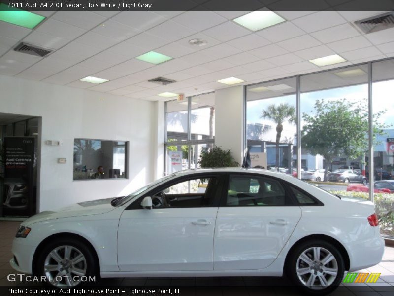 Ibis White / Light Gray 2011 Audi A4 2.0T Sedan