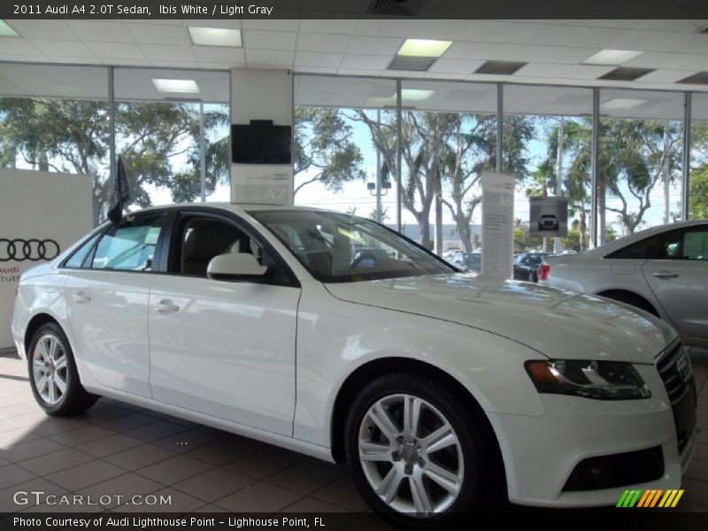 Ibis White / Light Gray 2011 Audi A4 2.0T Sedan