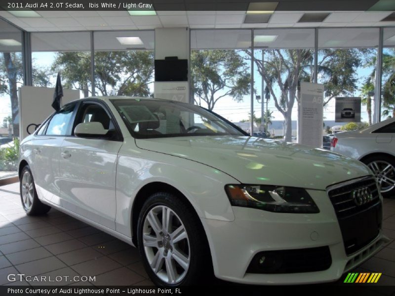 Ibis White / Light Gray 2011 Audi A4 2.0T Sedan