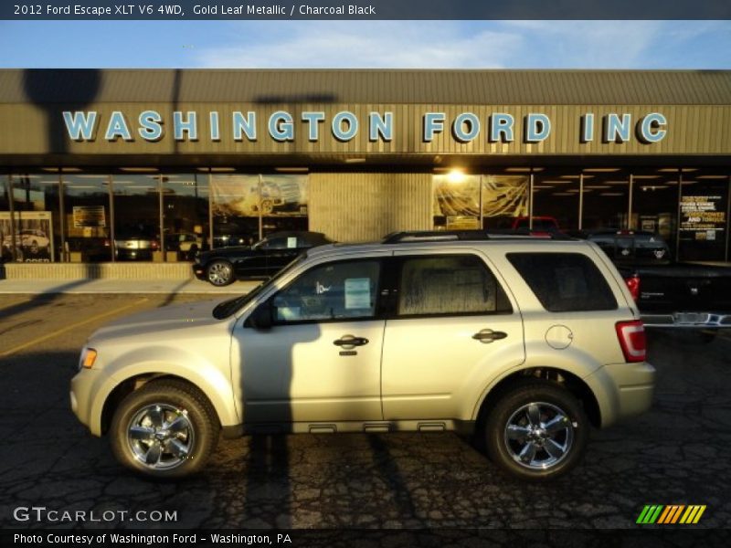 Gold Leaf Metallic / Charcoal Black 2012 Ford Escape XLT V6 4WD