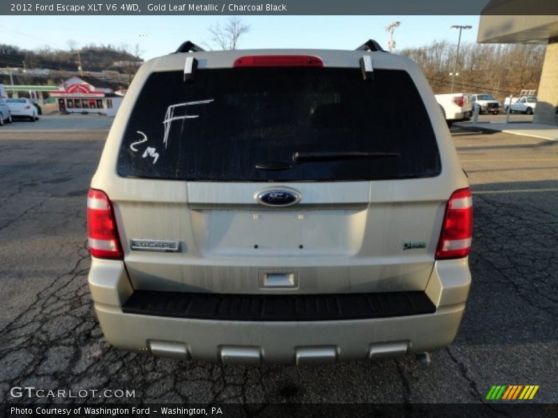 Gold Leaf Metallic / Charcoal Black 2012 Ford Escape XLT V6 4WD