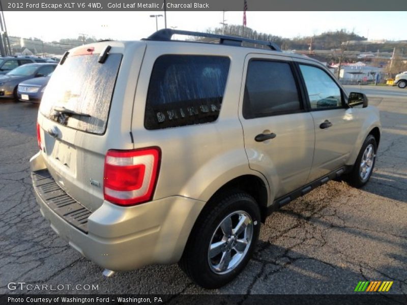 Gold Leaf Metallic / Charcoal Black 2012 Ford Escape XLT V6 4WD
