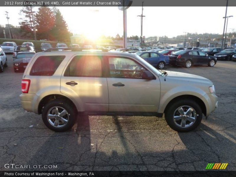 Gold Leaf Metallic / Charcoal Black 2012 Ford Escape XLT V6 4WD