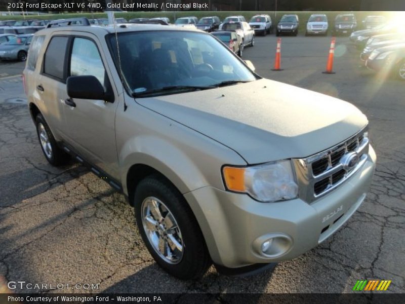 Gold Leaf Metallic / Charcoal Black 2012 Ford Escape XLT V6 4WD