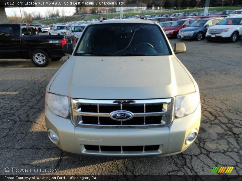 Gold Leaf Metallic / Charcoal Black 2012 Ford Escape XLT V6 4WD