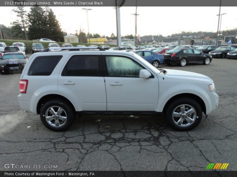 White Suede / Charcoal Black 2012 Ford Escape Limited