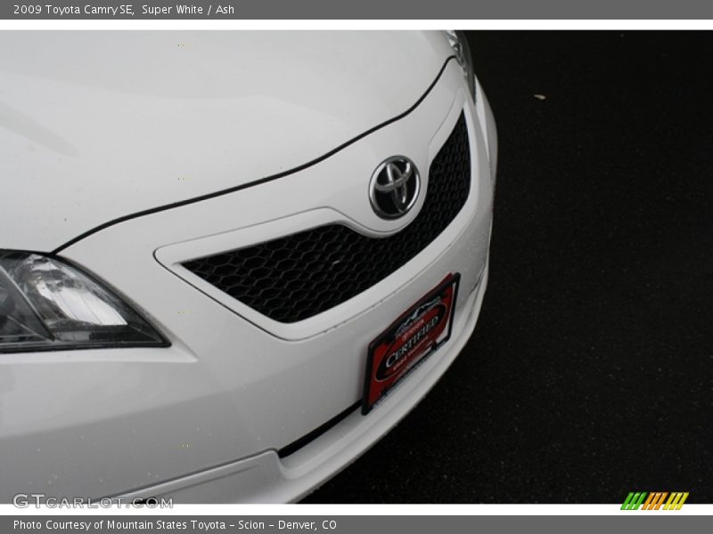 Super White / Ash 2009 Toyota Camry SE