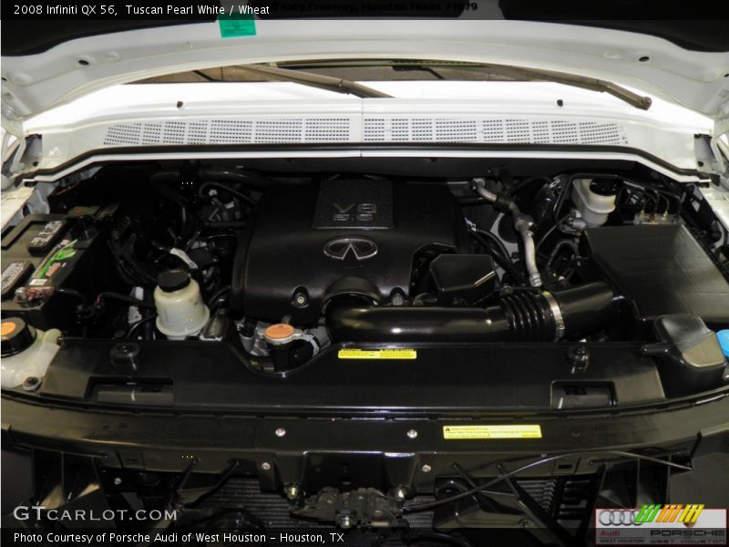 Tuscan Pearl White / Wheat 2008 Infiniti QX 56